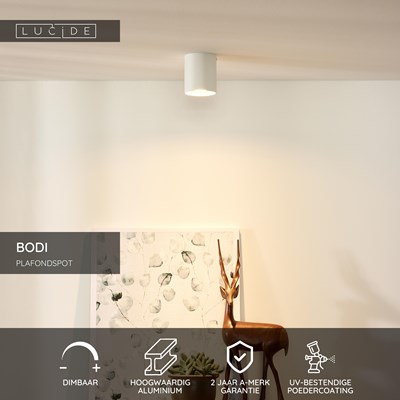 Lucide BODI - Plafondspot - Ø 8 cm - 1xGU10 - Wit